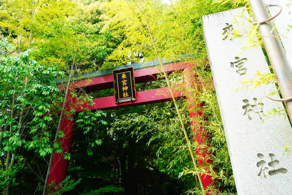来宮神社