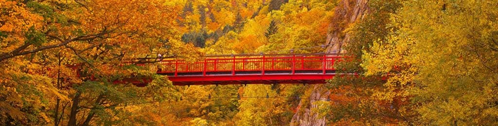 定山渓温泉 大自然に抱かれ定山渓温泉、温泉とかわいいコンパニオンとを満喫！！