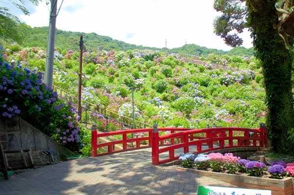 形原温泉あじさいの里