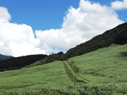 Ȣи1